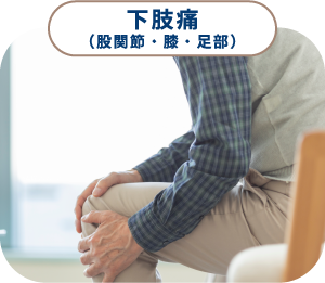 下肢痛(股関節・膝・足部)